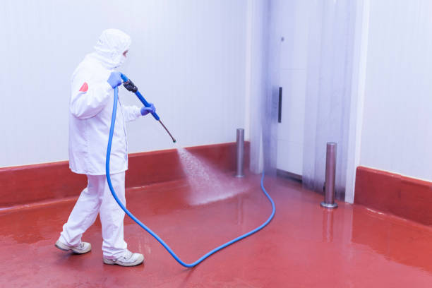 Best Driveway Pressure Washing  in Postville, IA