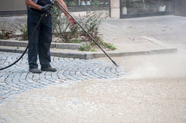 Best Concrete Sealing  in Postville, IA